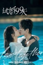 Drama China Trial Marriage (2021)