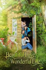 Drama Korea Beautiful Love, Wonderful Life (2019)