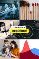 Coronavirus Explained (2020)